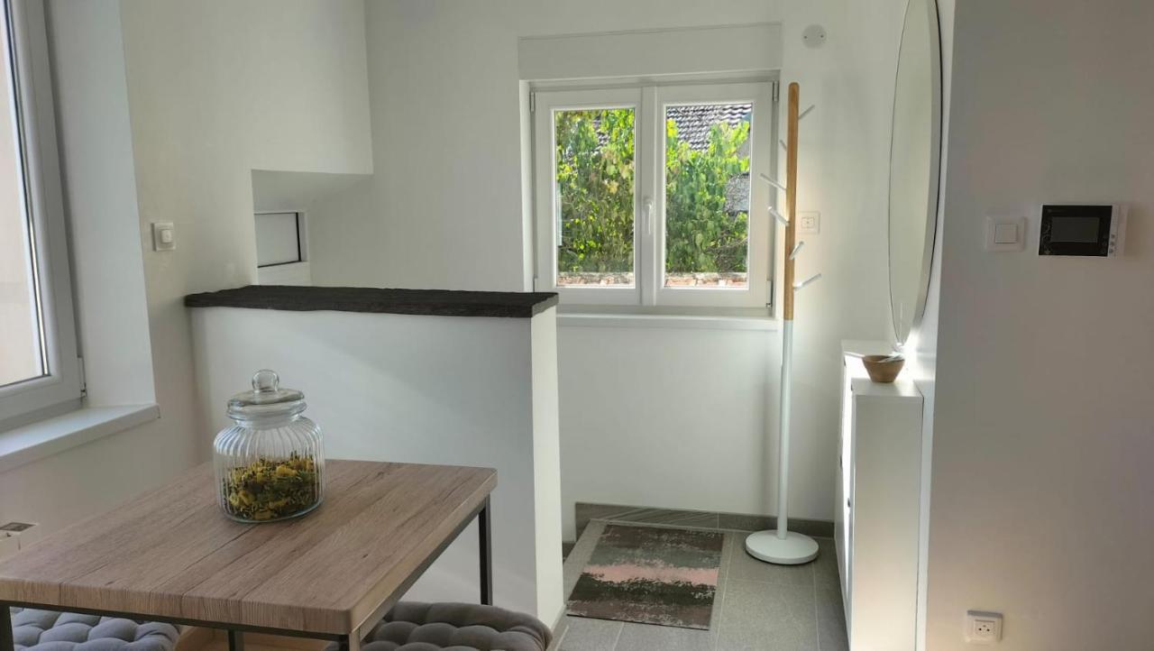 Gite Le Sequoia Apartment Selestat Bagian luar foto